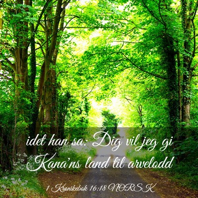 Picture 03 - 1 Krønikebok 16:18 NORSK - idet han sa: Dig vil jeg gi Kana'ns land til - Bible Verse Picture