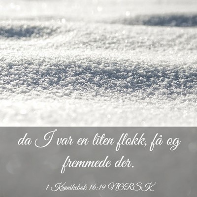 Picture 03 - 1 Krønikebok 16:19 NORSK - da I var en liten flokk, få og fremmede - Bible Verse Picture