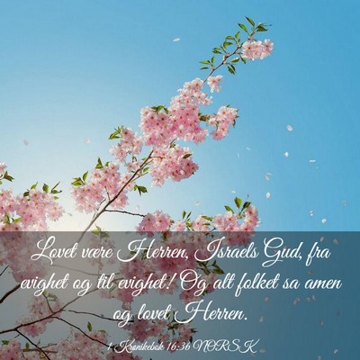 Picture 03 - 1 Krønikebok 16:36 NORSK - Lovet være Herren, Israels Gud, fra evighet og - Bible Verse Picture