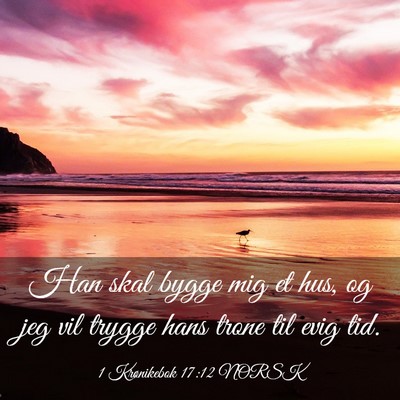 Picture 03 - 1 Krønikebok 17:12 NORSK - Han skal bygge mig et hus, og jeg vil trygge hans - Bible Verse Picture
