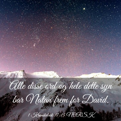 Picture 03 - 1 Krønikebok 17:15 NORSK - Alle disse ord og hele dette syn bar Natan frem - Bible Verse Picture
