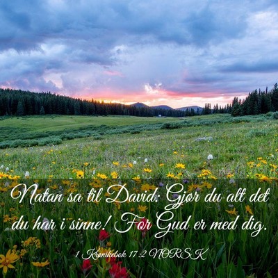 Picture 03 - 1 Krønikebok 17:2 NORSK - Natan sa til David: Gjør du alt det du har i - Bible Verse Picture