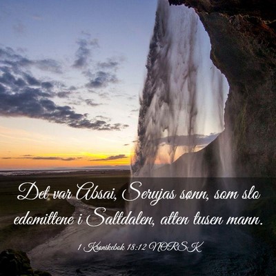 Picture 03 - 1 Krønikebok 18:12 NORSK - Det var Absai, Serujas sønn, som slo edomittene - Bible Verse Picture