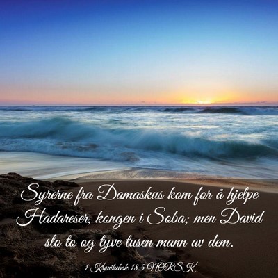 Picture 03 - 1 Krønikebok 18:5 NORSK - Syrerne fra Damaskus kom for å hjelpe Hadareser, - Bible Verse Picture