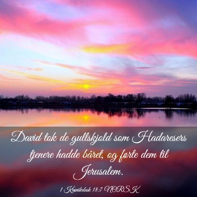 Picture 03 - 1 Krønikebok 18:7 NORSK - David tok de gullskjold som Hadaresers tjenere - Bible Verse Picture