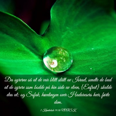 Picture 03 - 1 Krønikebok 19:16 NORSK - Da syrerne så at de var blitt slått av Israel, - Bible Verse Picture