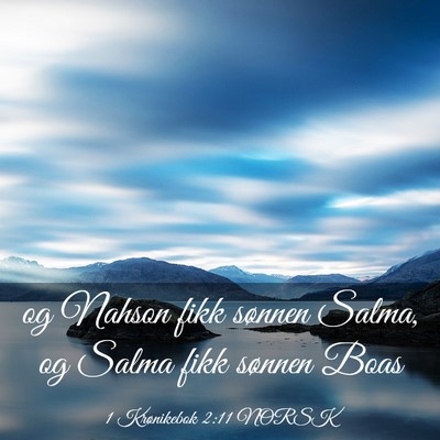 Picture 03 - 1 Krønikebok 2:11 NORSK - og Nahson fikk sønnen Salma, og Salma fikk - Bible Verse Picture