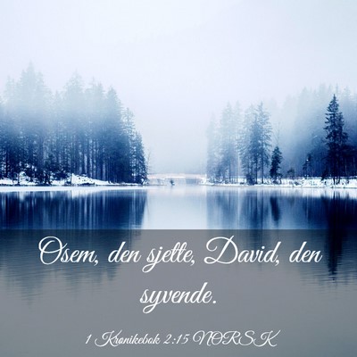Picture 03 - 1 Krønikebok 2:15 NORSK - Osem, den sjette, David, den - Bible Verse Picture