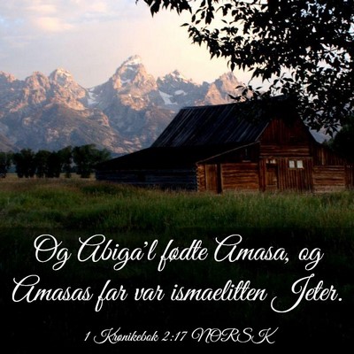 Picture 03 - 1 Krønikebok 2:17 NORSK - Og Abiga'l fødte Amasa, og Amasas far var - Bible Verse Picture
