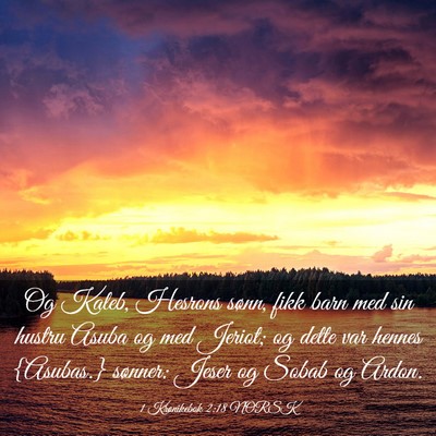 Picture 03 - 1 Krønikebok 2:18 NORSK - Og Kaleb, Hesrons sønn, fikk barn med sin hustru - Bible Verse Picture