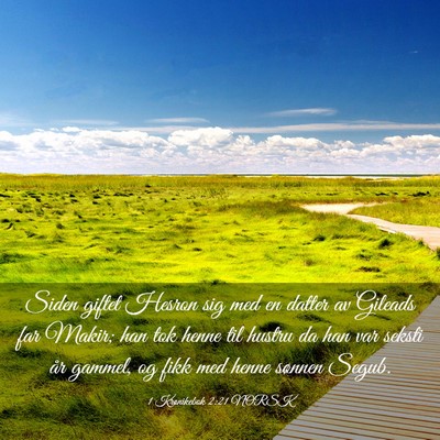 Picture 03 - 1 Krønikebok 2:21 NORSK - Siden giftet Hesron sig med en datter av Gileads - Bible Verse Picture