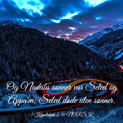 Picture 03 - 1 Krønikebok 2:30 NORSK - Og Nadabs sønner var Seled og Appa'm; Seled - Bible Verse Picture