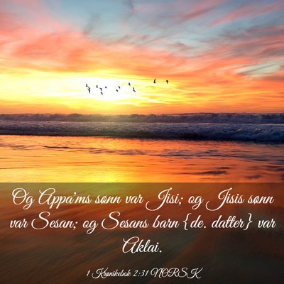 Picture 03 - 1 Krønikebok 2:31 NORSK - Og Appa'ms sønn var Jisi; og Jisis sønn var - Bible Verse Picture