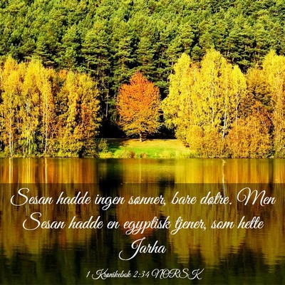 Picture 03 - 1 Krønikebok 2:34 NORSK - Sesan hadde ingen sønner, bare døtre. Men Sesan - Bible Verse Picture