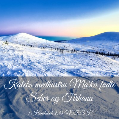 Picture 03 - 1 Krønikebok 2:48 NORSK - Kalebs medhustru Ma'ka fødte Seber og - Bible Verse Picture