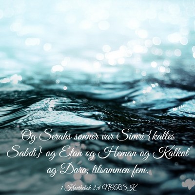 Picture 03 - 1 Krønikebok 2:6 NORSK - Og Serahs sønner var Simri {kalles Sabdi} og - Bible Verse Picture