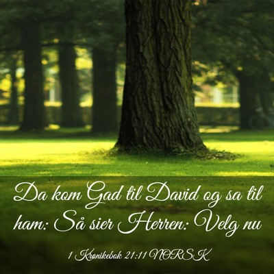 Picture 03 - 1 Krønikebok 21:11 NORSK - Da kom Gad til David og sa til ham: Så sier - Bible Verse Picture