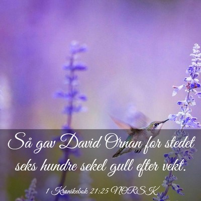 Picture 03 - 1 Krønikebok 21:25 NORSK - Så gav David Ornan for stedet seks hundre sekel - Bible Verse Picture