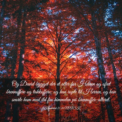 Picture 03 - 1 Krønikebok 21:26 NORSK - Og David bygget der et alter for Herren og ofret - Bible Verse Picture