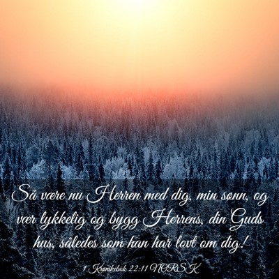 Picture 03 - 1 Krønikebok 22:11 NORSK - Så være nu Herren med dig, min sønn, og vær - Bible Verse Picture