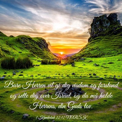 Picture 03 - 1 Krønikebok 22:12 NORSK - Bare Herren vil gi dig visdom og forstand og - Bible Verse Picture