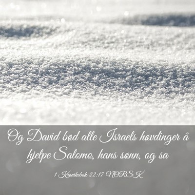 Picture 03 - 1 Krønikebok 22:17 NORSK - Og David bød alle Israels høvdinger å hjelpe - Bible Verse Picture