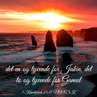 Picture 03 - 1 Krønikebok 24:17 NORSK - det en og tyvende for Jakin, det to og tyvende - Bible Verse Picture
