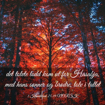 Picture 03 - 1 Krønikebok 25:19 NORSK - det tolvte lodd kom ut for Hasabja, med hans - Bible Verse Picture