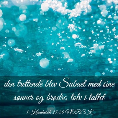 Picture 03 - 1 Krønikebok 25:20 NORSK - den trettende blev Subael med sine sønner og - Bible Verse Picture