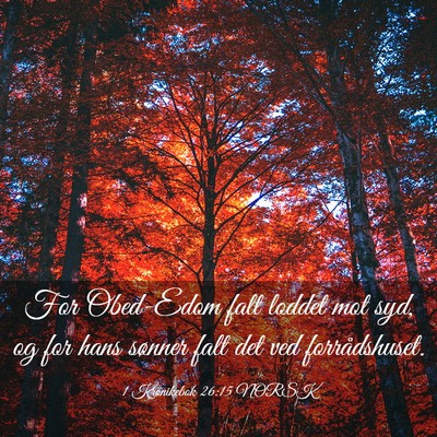 Picture 03 - 1 Krønikebok 26:15 NORSK - For Obed-Edom falt loddet mot syd, og for hans - Bible Verse Picture