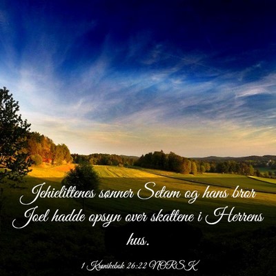 Picture 03 - 1 Krønikebok 26:22 NORSK - Jehielittenes sønner Setam og hans bror Joel - Bible Verse Picture