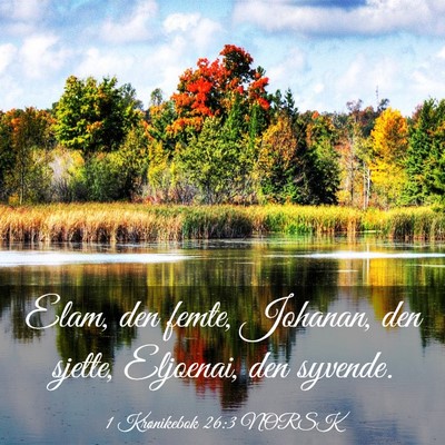Picture 03 - 1 Krønikebok 26:3 NORSK - Elam, den femte, Johanan, den sjette, Eljoenai, - Bible Verse Picture