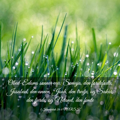 Picture 03 - 1 Krønikebok 26:4 NORSK - Obed-Edoms sønner var: Semaja, den - Bible Verse Picture