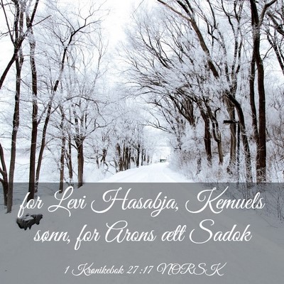 Picture 03 - 1 Krønikebok 27:17 NORSK - for Levi Hasabja, Kemuels sønn, for Arons ætt - Bible Verse Picture