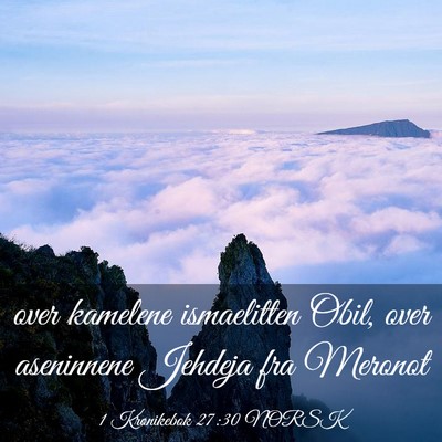 Picture 03 - 1 Krønikebok 27:30 NORSK - over kamelene ismaelitten Obil, over aseninnene - Bible Verse Picture