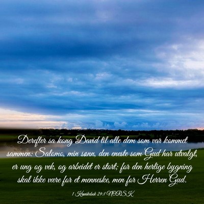Picture 03 - 1 Krønikebok 29:1 NORSK - Derefter sa kong David til alle dem som var - Bible Verse Picture