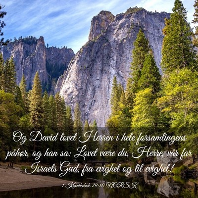 Picture 03 - 1 Krønikebok 29:10 NORSK - Og David lovet Herren i hele forsamlingens - Bible Verse Picture