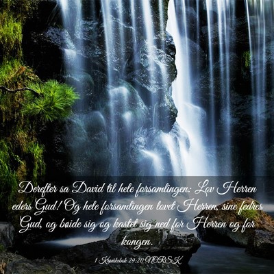 Picture 03 - 1 Krønikebok 29:20 NORSK - Derefter sa David til hele forsamlingen: Lov - Bible Verse Picture