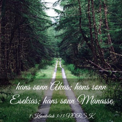 Picture 03 - 1 Krønikebok 3:13 NORSK - hans sønn Akas; hans sønn Esekias; hans sønn - Bible Verse Picture