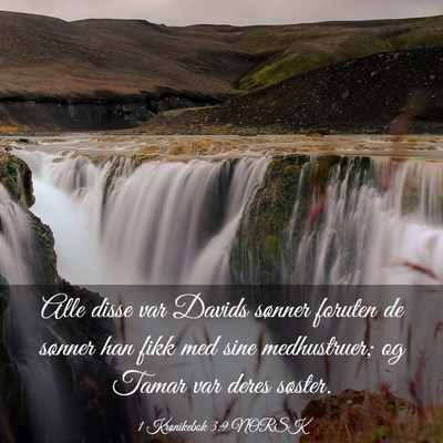 Picture 03 - 1 Krønikebok 3:9 NORSK - Alle disse var Davids sønner foruten de sønner - Bible Verse Picture
