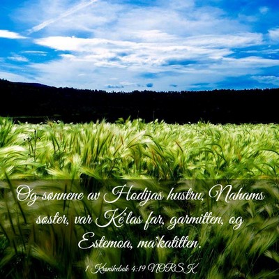 Picture 03 - 1 Krønikebok 4:19 NORSK - Og sønnene av Hodijas hustru, Nahams søster, - Bible Verse Picture