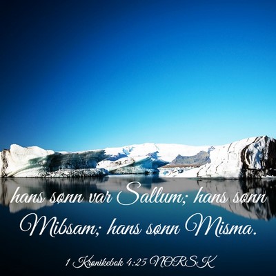 Picture 03 - 1 Krønikebok 4:25 NORSK - hans sønn var Sallum; hans sønn Mibsam; hans - Bible Verse Picture