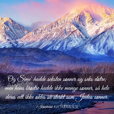 Picture 03 - 1 Krønikebok 4:27 NORSK - Og Sime' hadde seksten sønner og seks døtre; - Bible Verse Picture