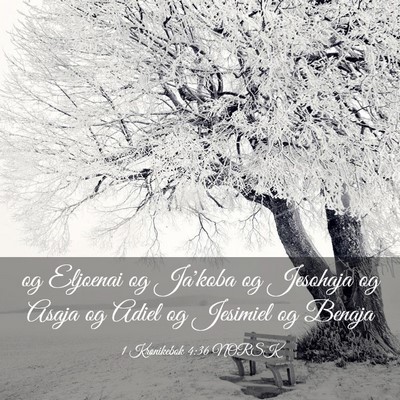 Picture 03 - 1 Krønikebok 4:36 NORSK - og Eljoenai og Ja'koba og Jesohaja og Asaja og - Bible Verse Picture