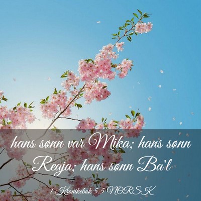 Picture 03 - 1 Krønikebok 5:5 NORSK - hans sønn var Mika; hans sønn Reaja; hans sønn - Bible Verse Picture