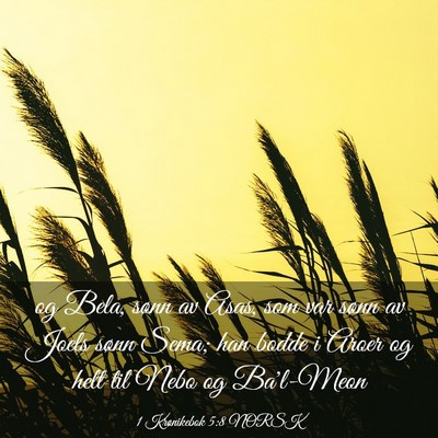Picture 03 - 1 Krønikebok 5:8 NORSK - og Bela, sønn av Asas, som var sønn av Joels - Bible Verse Picture