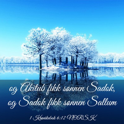 Picture 03 - 1 Krønikebok 6:12 NORSK - og Akitub fikk sønnen Sadok, og Sadok fikk - Bible Verse Picture
