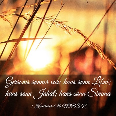 Picture 03 - 1 Krønikebok 6:20 NORSK - Gersoms sønner var: hans sønn Libni; hans sønn - Bible Verse Picture