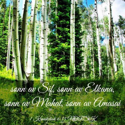 Picture 03 - 1 Krønikebok 6:35 NORSK - sønn av Sif, sønn av Elkana, sønn av Mahat, - Bible Verse Picture