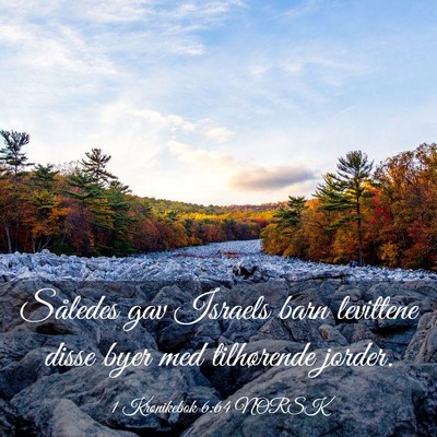 Picture 03 - 1 Krønikebok 6:64 NORSK - Således gav Israels barn levittene disse byer - Bible Verse Picture